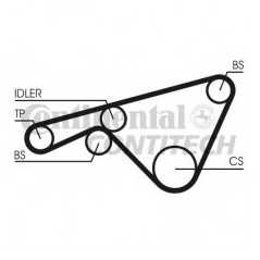 CONTITECH Ιμάντας Χρονισμού CT925 DHTD 1048, 924 1975-1989, 944 1981-1991, 968 1991-1995