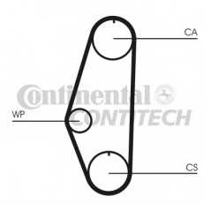 CONTITECH Ιμάντας Χρονισμού CT629 STD 1024 8000, IBIZA II (6K1) 1993-1999, GOLF III (1H1) 1991-1998, VENTO (1H2) 1991-1998