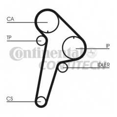 CONTITECH Ιμάντας Χρονισμού CT891 HTD 1343, XM (Y4) 1994-2000, 605 (6B) 1989-1999