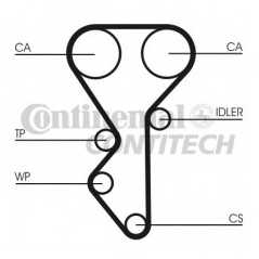 CONTITECH Ιμάντας Χρονισμού CT955 CPPN 1295, XANTIA (X1) 1993-1998, XANTIA (X2) 1998-2003, XM (Y4) 1994-2000, XSARA (N1) 1997-20